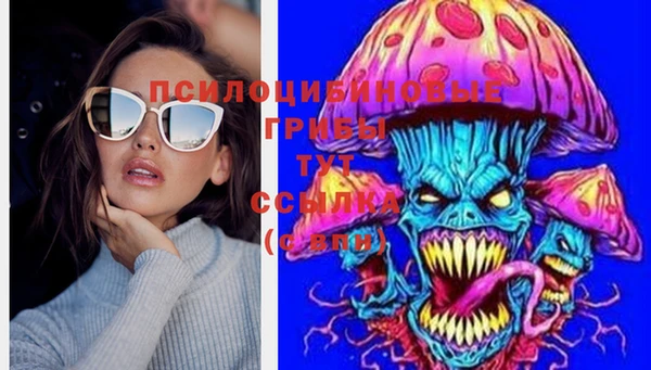 ПСИЛОЦИБИНОВЫЕ ГРИБЫ Лихославль
